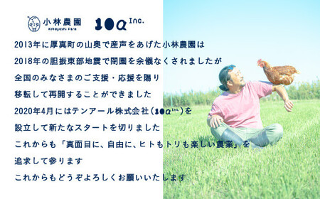 【全6回定期便】平飼い卵のクラシックプリン 4個【テンアール株式会社】 プリン 固め かため 硬め 濃厚[AXAN079]