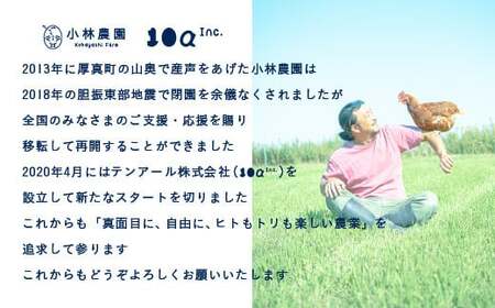 【全3回定期便】平飼い卵のクラシックプリン 8個【テンアール株式会社】 プリン 固め かため 硬め 濃厚[AXAN082]