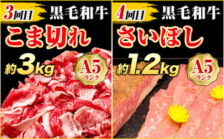 【4ヶ月定期便】極上 厳選 A5 ランク 特選 黒毛和牛 食べつくし セット 合計 7.2kg