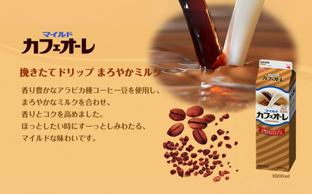 江崎グリコ牛乳・JA牛乳さが生まれ・カフェオーレ6本よりどりセット：B110-002