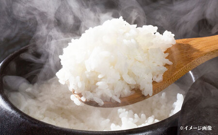 【令和7年度産】 特別栽培米 コシヒカリ 5kg [BIBV007] 近江米