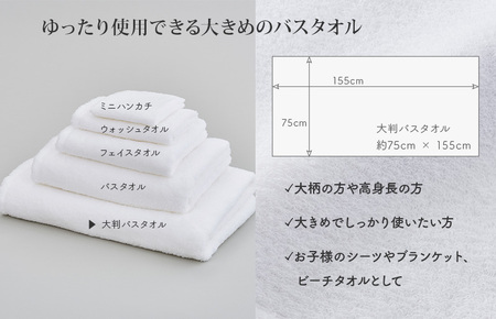 （今治タオルブランド認定）ほわほわサンホーキン大判バスタオル 5枚 ブルー 今治タオル [ID05370BT5B]