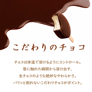 14. PARM チョコレート (ノベルティ) 個包装 24本 アイス アイスクリーム アイスバー パルム 森永乳業 静岡 裾野市