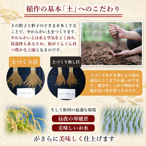 秋田県産 サキホコレ 5kg 令和7年産 JAしんせい【 精米 白米 米 コメ お米 おこめ ブランド米 ご飯 ごはん 産地直送 送料無料 高評価 秋田 にかほ 】