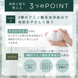 ナイトシャンプー＆トリートメントセット 各300mL｜ヘアケア 美髪 酒粕エキス配合 天然成分 美容｜人気 おすすめ 送料無料｜神奈川県 横浜市 AMV0001