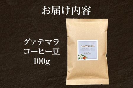 コーヒー豆 グァテマラ アンティグア レタナ農園 イエローブルボン 100g お試し 自家焙煎 ドリンク 飲料