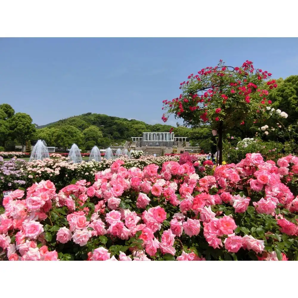 神戸迎賓館 旧西尾邸 レストラン〈ルアン〉離宮公園チケット付 ランチ ハーフコース ペアチケット