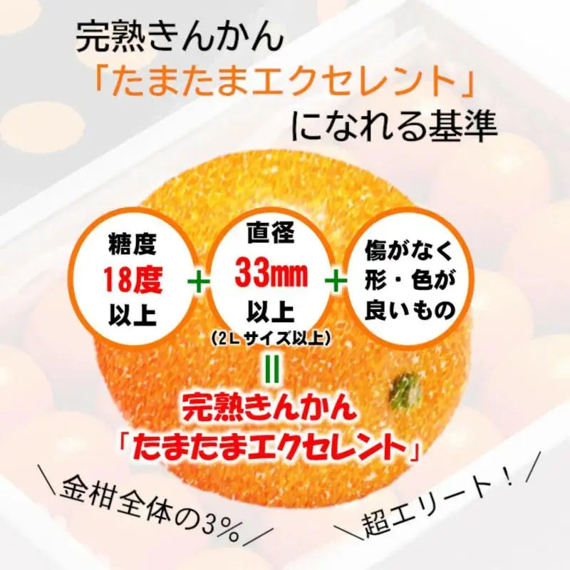 【先行予約】糖度18度以上　宮崎金柑の最高級ブランド『完熟きんかんたまたまエクセレント』1kg　2026年発送＜2-7a＞