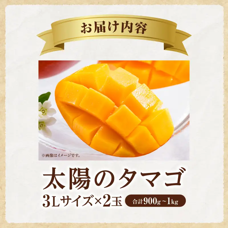 太陽のタマゴ マンゴー 太陽のタマゴ[宮崎 3L 2玉 900g~1kg]