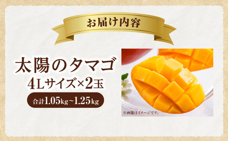 太陽のタマゴ マンゴー 太陽のタマゴ[宮崎 4L 2玉 1.05~1.25kg]