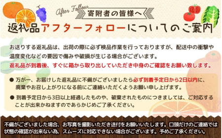 【定期便全3回】産直・和歌山フルーツ定期便（桃・ピオーネ・有田みかん） 【tkb415】