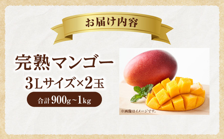 マンゴー 完熟 マンゴー[宮崎 3L 2玉 900g~1kg]