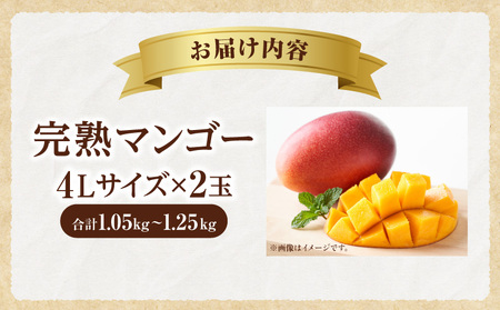 マンゴー 完熟 マンゴー[宮崎 4L 2玉 1.05~1.25kg]