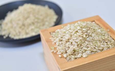 【2025年産米】完全無農薬の玄米『森ノヒカリ(3kg)』『川ノヒカリ(3kg)』セット　Bnm-A21　／お米 朝日 数量限定 四万十 高知 チェーン除草 贈り物 ギフト プレゼント お取り寄せ お歳暮 お中元 御年賀