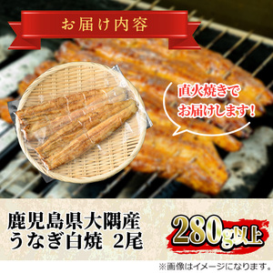 【0263709a】鹿児島県産東串良町のうなぎ白焼(2尾・計280g以上) うなぎ 高級 ウナギ 鰻 国産白焼き 鹿児島【うなぎ太郎】