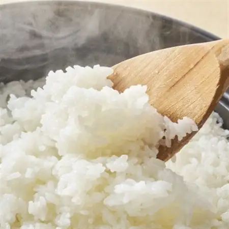 R7年産 濃厚な甘み! 岩船産コシヒカリ 精米6kg(2kg×3袋)[農家民宿おくやま]_岩船産 コシヒカリ 精米 先行予約_【1584913】