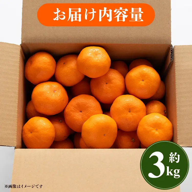 【1月中旬〜2月発送】寿太郎みかん 3kg みかん 果物 ms-0085