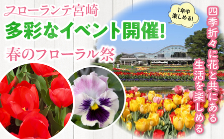 宮崎市フェニックス自然動物園＆フローランテ宮崎共通年間パスポート（小人） 動物 動物園 自然 花 祭 祭典 イルミネーション フラワーガーデン イベント チケット 引換券 入園券 レストラン お土産 グルメ フェニックス 宮崎市フェニックス自然動物園 フローランテ宮崎 小学生 中学生