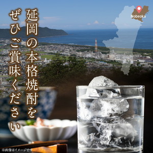 【本格麦焼酎】銀の水・銀の水ＢＬＡＣＫ飲み比べセット N076-YA862