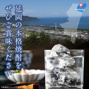 【本格麦焼酎】銀の水・銀の水BLACK 1.8L 6本セット N076-YF100