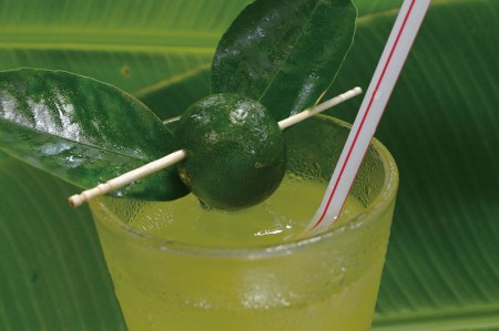 【大宜味村】シークヮーサーセット1