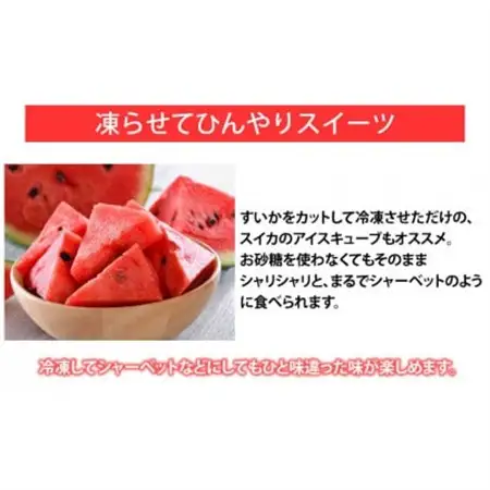 大玉すいか 秀品 1玉(約6kg～9kg)【2026年5月下旬より順次発送予定】【1586101】