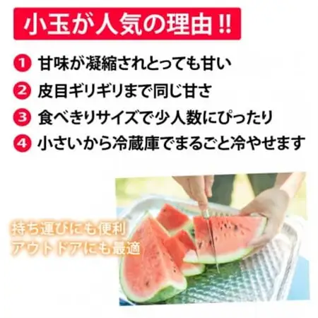 小玉すいか 秀品 2玉 約2～3kg【2026年5月下旬～7月下旬発送予定】【1586188】