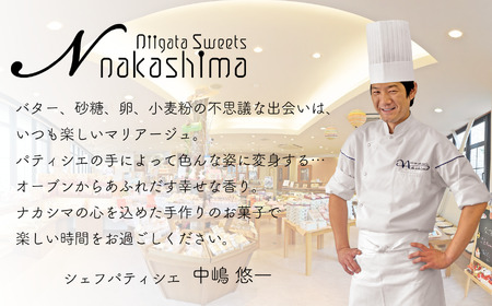 『新潟３種のスフレセット』 9個入り 1箱 人気の大糸チーズ、半熟ショコラ、新潟ふわとろチーズ 優しい味わい ギフトにもおすすめ 新潟県 糸魚川市 ナカシマ のし対応可 チーズケーキ スイーツ 洋菓子 お歳暮 お中元 贈答