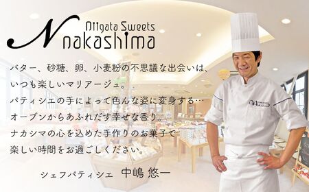 『チーズとショコラのスフレとタルトのセット』 12個入り 1箱 人気の大糸チーズ、半熟ショコラ、淡雪チーズタルト 優しい味わい ギフトにもおすすめ 新潟県 糸魚川市 ナカシマ のし対応可 チーズケーキ スイーツ 洋菓子 お歳暮 お中元 贈答