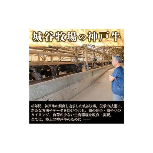 城谷牧場の神戸牛 モモ 焼肉 400g BBQ バーベキュー アウトドア ギフト