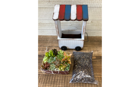 多肉植物 じぶんで植える 多肉 寄せ植えキットＣ 木製 ワゴン型 プランター 全2色 インテリア 植物 寄せ植え ガーデニング 福岡 小郡市 白色