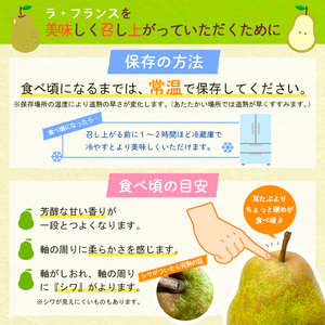 ★食べ頃出荷★山形県産 「ラ・フランス」 特秀品 5kg (12～20玉) 洋梨 ラフランス 山形【令和8年産先行予約】FS24-819