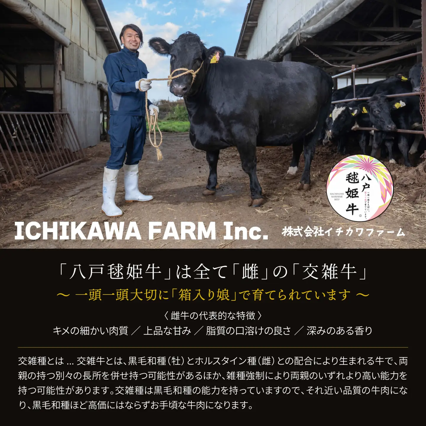 【3回定期便】八戸 毬姫牛 おたのしみセット カルビ ロース ステーキ すき焼き　