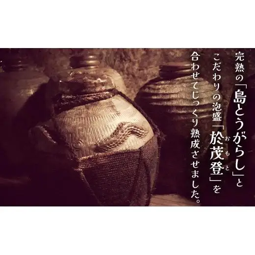 おばあちゃんの”てぃだくーす”（ねりタイプ）＆（泡盛漬けタイプ）完熟、泡盛仕立て調味料　YZ-3