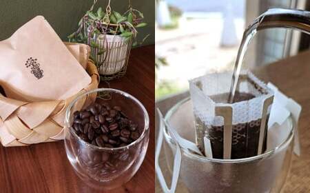 自家焙煎 コーヒー豆 ドリップバッグ 5種類 計50袋 飲みくらべ セット 1袋10g コーヒー 豆 飲み比べ