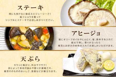 【訳あり】奥出雲椎茸「雲太」1kg【椎茸 生しいたけ 12枚 15枚 18枚 肉厚 収穫直後 新鮮 菌床栽培 国産 きのこ キノコ 野菜 料理 食品 プレゼント 贈り物 ギフト】