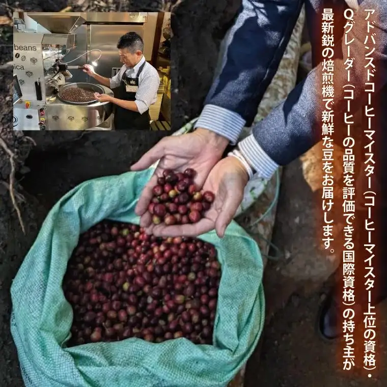 KINGDOM COFFEE BY ROYAL PROJECT 約200g