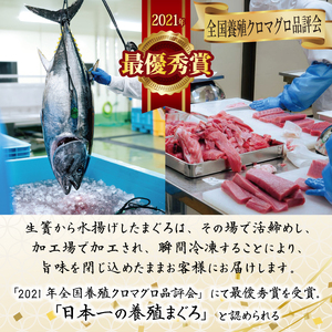 本まぐろ 切り落とし 300g  まぐろ