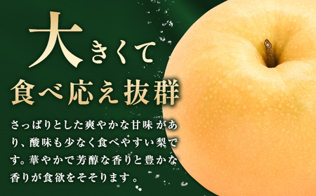 【先行予約】梨 岡山県産 新高梨 約3kg ( 4～6玉 ) 【配送不可地域あり】 株式会社藍《9月下旬-10月下旬頃出荷》 岡山県 浅口市 岡山県産 なし フルーツ 果物 くだもの ナシ 大玉 新高 送料無料