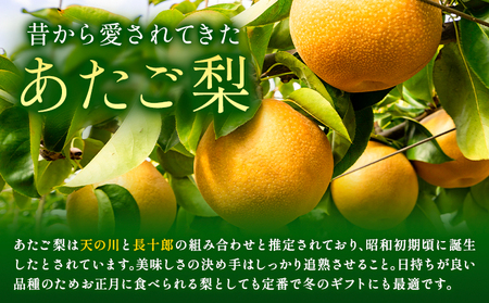 【先行予約】梨 あたご梨 1玉 約1kg 株式会社藍《2026年11月中旬-12月上旬頃出荷》 岡山県 浅口市 岡山県産 なし フルーツ 果物 くだもの ナシ 大玉 送料無料