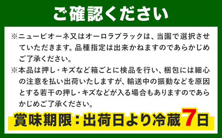 【2026年先行予約】ぶどうの宝石箱 1箱 36粒 たけまさぶどう園 《2026年8月上旬-10月中旬頃出荷》岡山県 浅口市 シャインマスカット ニューピオーネ オーロラブラック フルーツ 果物 くだもの ぶどう マスカット 国産 岡山県産 【配送不可地域あり】（離島）