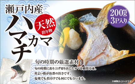 海鮮5種セット  刺身 たたき 西京漬け カマ 刺身刺身刺身刺身