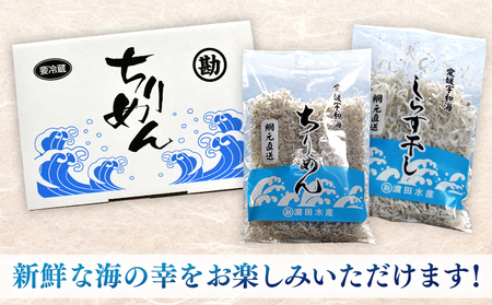 ＜ちりめん＆しらす干し 食べ比べセット＞ 西予市産 ちりめん しらす干し 食べ比べ 健康 カルシウム 詰め合わせ チリメン シラス 魚介 海産物 海鮮 家庭用 贈答用 小分け 国産 特産品 産地直送 濱田水産 愛媛県 西予市【冷凍】『最短10営業日以内に順次発送予定』AHS0003