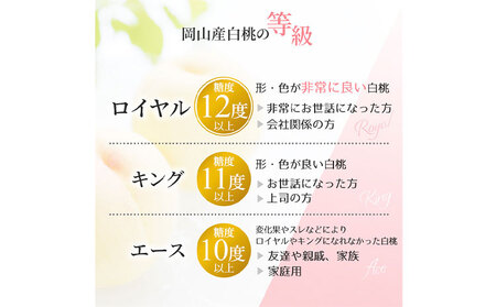 岡山白桃ロイヤル 約2kg 5~7玉 橋田商店有限会社 桃