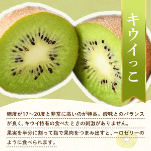 【フルーツ定期便 3回】 《ピオーネからスタート》 Iセット ピオーネ 約1.2kg キウイっこ 約1.8kg せとか 約5kg ぶどう キウイ キウイフルーツ みかん 柑橘 旬 果物 国産 香川県 フルーツ定期便 F5J-801