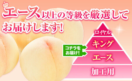 岡山白桃 キング・エース 約4kg 8~15玉 橋田商店有限会社 桃