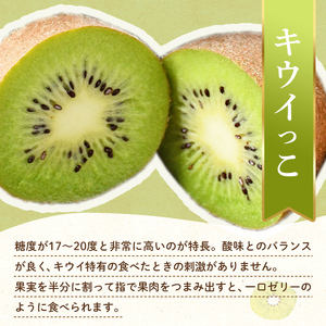 【フルーツ定期便 3回】 《さぬきゴールドからスタート》 Jセット さぬきゴールド 約2.7kg 香緑 約3.0kg キウイっこ 約1.8kg キウイ キウイフルーツ 旬 果物 国産 香川県 フルーツ定期便 F5J-802