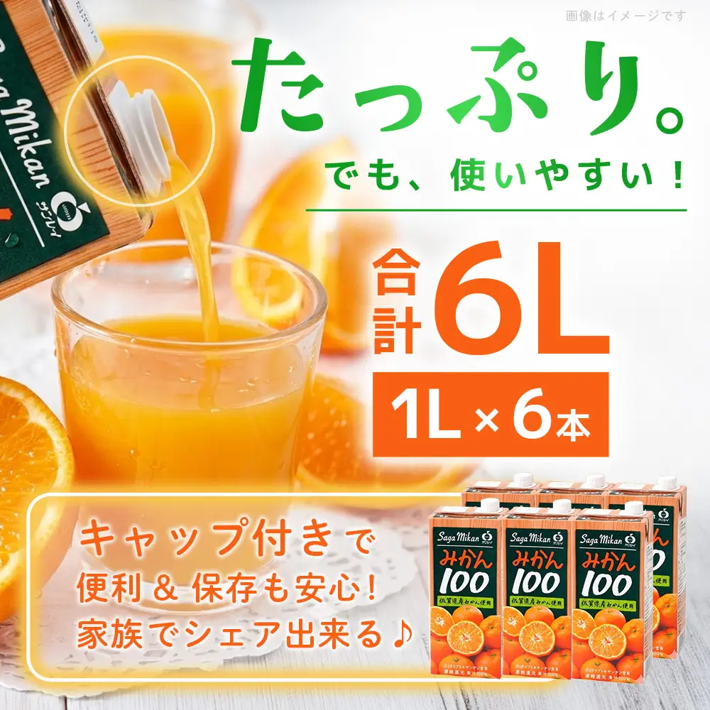 みかん100 1L×6本入り(H116234)
