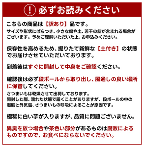訳あり さつまいも 紅はるか 約5kg さつまいも