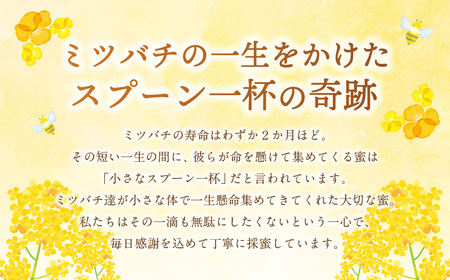 はちみつ 250g 蜂蜜 ハチミツ 蜜 みつ ミツ 常温 国産 愛媛県 【えひめの町（超）推し！（愛南町）】【2026年5月下旬から順次発送予定】（328）